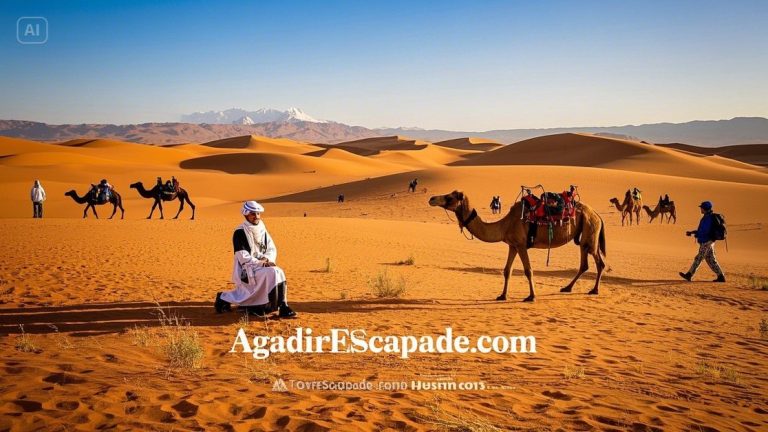 sahara wüste in marokko