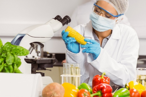 Contrôle qualité alimentaires Dar es-Salam : urgence requise